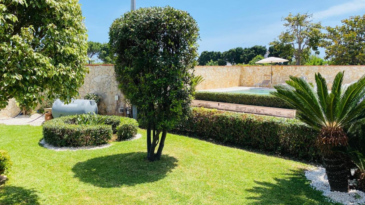 Villa Carmen Con Piscina 锡拉库扎 外观 照片